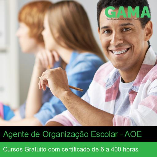 Agente de Organização Escolar - AOE